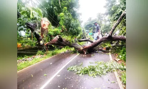 കൊ​ടു​വ​ള്ളി മേഖലയിൽ മഴയിൽ നാശം