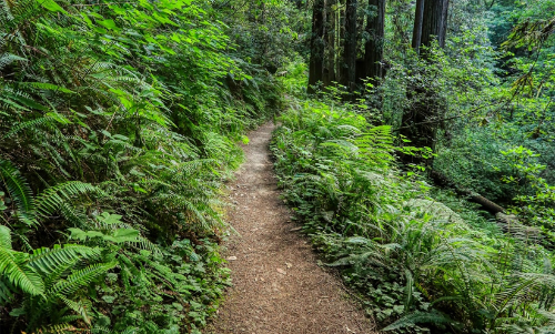നേർവഴിയില്ലാതെ വാലുപറമ്പുകാർ; ചുറ്റേണ്ടത് 10 കിലോമീറ്റർ