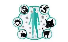 ജന്തുജന്യരോഗ വ്യാപനം: ഹോർട്സ്പോർട്ടായി കേരളം; വൺ ഹെൽത്ത് ആശയം ശക്തമാക്കാൻ മൃഗസംരക്ഷണ വകുപ്പും