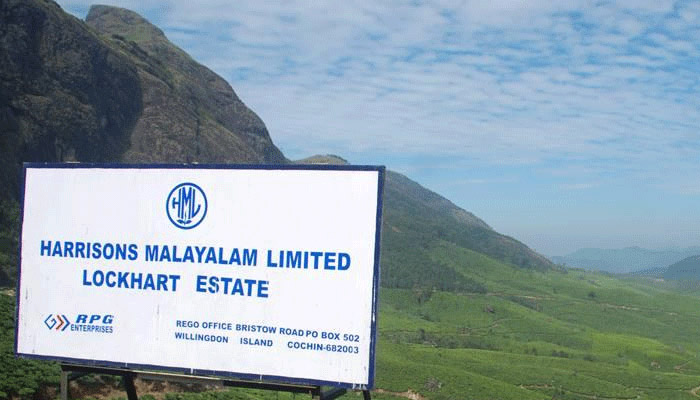 വിദേശ കമ്പനികളുടെ തോട്ടം ഭൂമി : 33,334 ഏക്കറിന് സിവിൽ കോടതിയിൽ കേസ് നൽകി വിദേശ കമ്പനികളുടെ തോട്ടം ഭൂമി : 33,334 ഏക്കറിന് സിവിൽ കോടതിയിൽ കേസ് നൽകി