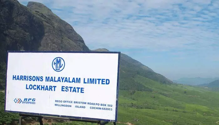 വിദേശ കമ്പനികളുടെ തോട്ടം ഭൂമി : 33,334 ഏക്കറിന് സിവിൽ കോടതിയിൽ കേസ് നൽകി വിദേശ കമ്പനികളുടെ തോട്ടം ഭൂമി : 33,334 ഏക്കറിന് സിവിൽ കോടതിയിൽ കേസ് നൽകി