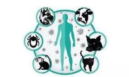 ജന്തുജന്യരോഗ വ്യാപനം: ഹോർട്സ്പോർട്ടായി കേരളം; വൺ ഹെൽത്ത് ആശയം ശക്തമാക്കാൻ മൃഗസംരക്ഷണ വകുപ്പും