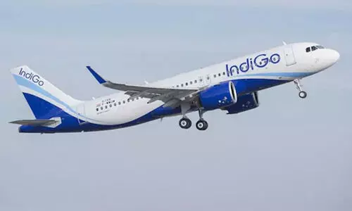 Indigo flight