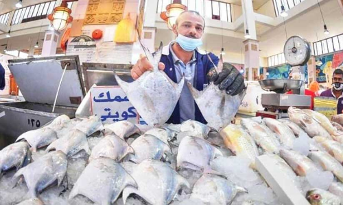 മാർക്കറ്റുകളിൽ വീണ്ടും ആവോലി