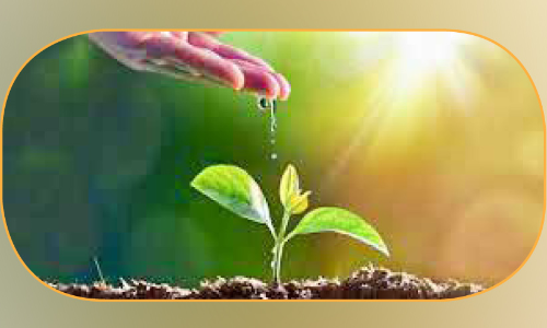 നൂതന കൃഷിരീതികളുമായി ക്ലസ്റ്റർ വില്ലേജ് പരിപാടി