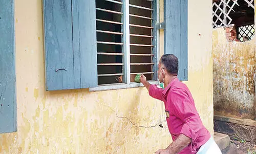 തെരുവുനായ്ക്കള്‍ക്ക് ഷെല്‍ട്ടറൊരുക്കി പഞ്ചായത്ത്