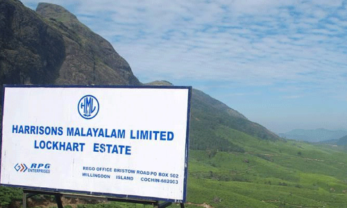 വിദേശ കമ്പനികളുടെ തോട്ടം ഭൂമി : 33,334 ഏക്കറിന് സിവിൽ കോടതിയിൽ കേസ് നൽകി