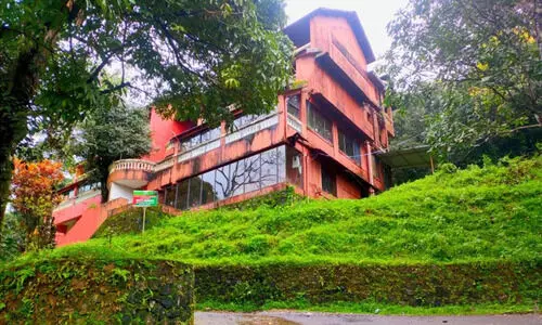 Misty Heights Forest Cottage