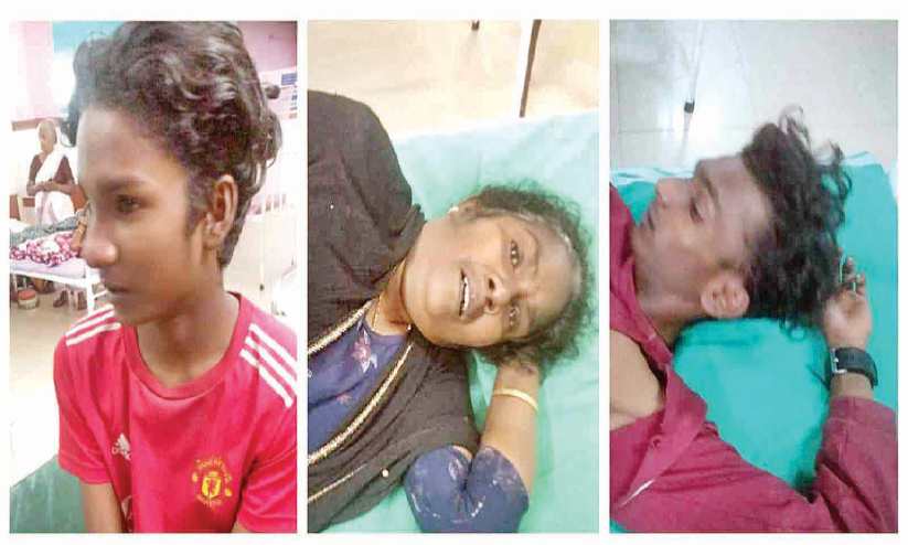 യുവാക്കൾക്കും മാതാവിനും ആക്രമണത്തിൽ പരിക്ക് യുവാക്കൾക്കും മാതാവിനും ആക്രമണത്തിൽ പരിക്ക്