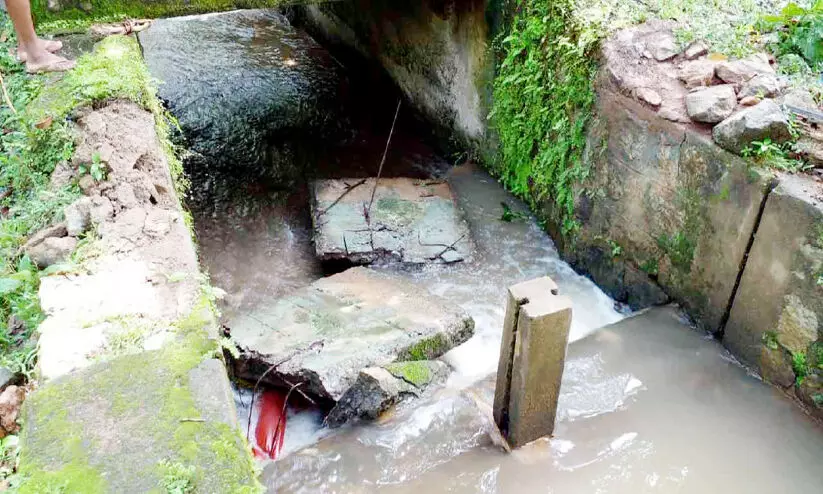 നടപ്പാലം തകര്ന്ന് യുവതിക്ക് പരിക്ക് നടപ്പാലം തകര്ന്ന് യുവതിക്ക് പരിക്ക്