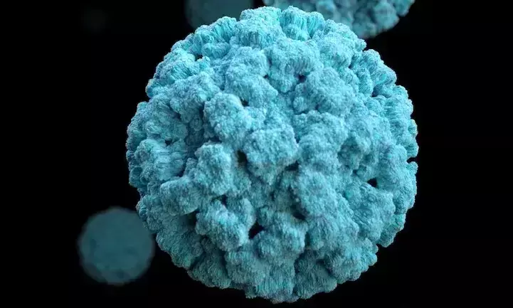 ആഫ്രിക്കയിൽ മാർബർഗ് വൈറസ്, രണ്ട് മരണം ആഫ്രിക്കയിൽ മാർബർഗ് വൈറസ്, രണ്ട് മരണം