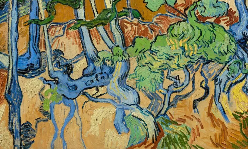 tree roots tree roots