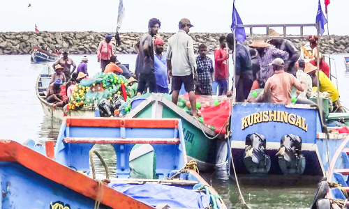 അനധികൃത മത്സ്യബന്ധനം: ആറ് വഞ്ചികള് പിടികൂടി അനധികൃത മത്സ്യബന്ധനം: ആറ് വഞ്ചികള് പിടികൂടി