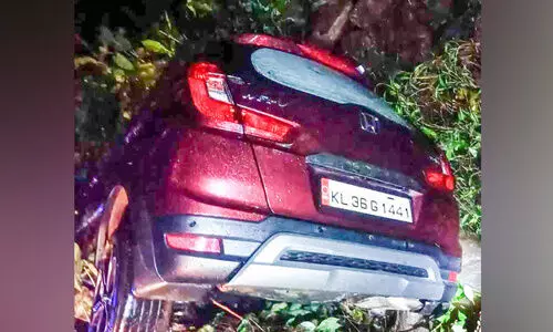 കാര്‍ തോട്ടിലേക്കു മറിഞ്ഞ് ഡ്രൈവർക്ക് പരിക്ക്