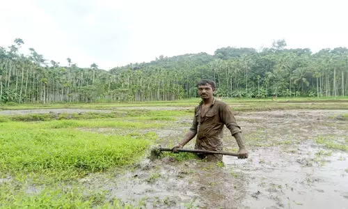 പാടത്ത് പൊന്നുവിളയിക്കാൻ ഹരീഷ്