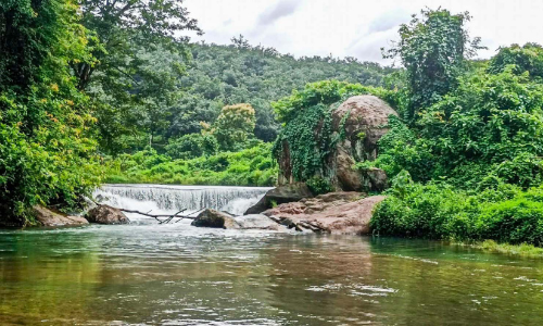 വനനിയമത്തിൽ കുടുങ്ങി അച്ചന്‍കോവില്‍, ഗവി ടൂറിസം പാക്കേജുകൾ
