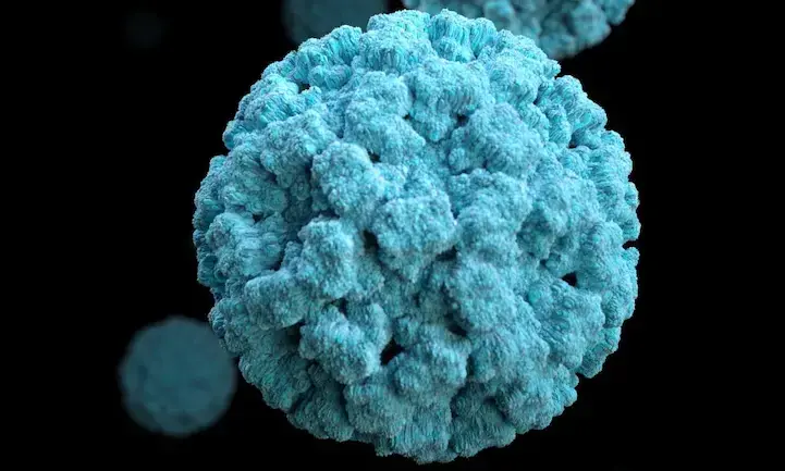 ആഫ്രിക്കയിൽ മാർബർഗ് വൈറസ്, രണ്ട് മരണം