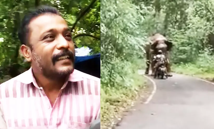 datsun -wild elephant attack