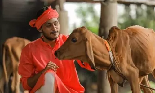 ലിറ്ററിന് നാല് രൂപക്ക് പശുമൂത്രം വാങ്ങാൻ ഛത്തീസ്ഗഢ് സർക്കാർ; 150 കോടിയുടെ ചാണകം സംഭരിച്ചു