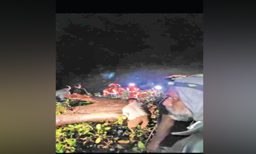 മാക്കൂട്ടം ചുരം പാതയിൽ മരം കടപുഴകി, ഗതാഗതം നിലച്ചു