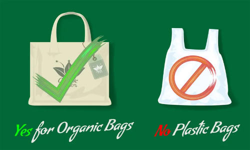 പ്ലാസ്റ്റിക് മുക്ത കണ്ണൂർ; പിഴയീടാക്കിത്തുടങ്ങി