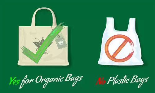 പ്ലാസ്റ്റിക് മുക്ത കണ്ണൂർ; പിഴയീടാക്കിത്തുടങ്ങി