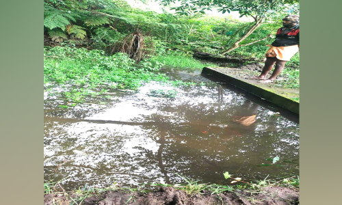 ശുദ്ധജലം ലഭിക്കാതെ വട്ടവടയിൽ അഞ്ഞൂറോളം കുടുംബങ്ങൾ
