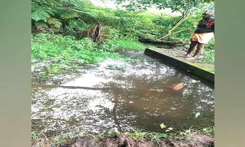 ശുദ്ധജലം ലഭിക്കാതെ വട്ടവടയിൽ അഞ്ഞൂറോളം കുടുംബങ്ങൾ