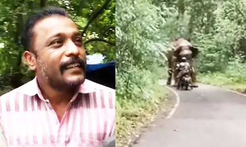 datsun -wild elephant attack