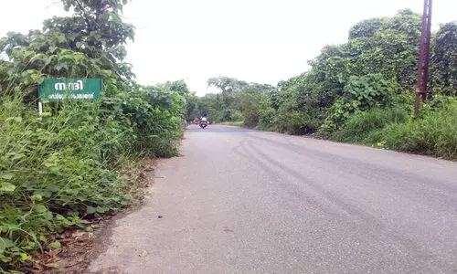 കാടുമൂടി കല്ലുകടവ് പാലം; മാലിന്യംതള്ളൽ രൂക്ഷം