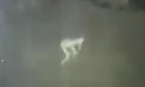 Pale creature caught on a security cam