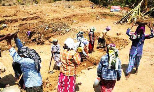 തൊഴിലുറപ്പ് പദ്ധതി: പോത്തുകൽ പഞ്ചായത്തിൽ വൻ ക്രമക്കേട്
