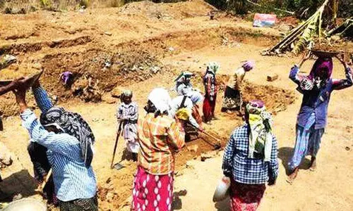 തൊഴിലുറപ്പ് പദ്ധതി: പോത്തുകൽ പഞ്ചായത്തിൽ വൻ ക്രമക്കേട്