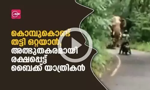 കൊമ്പുകൊണ്ട് തട്ടി ഒറ്റയാന്‍, അത്ഭുതകരമായ രക്ഷപ്പെട്ട് ബൈക്ക് യാത്രികൻ