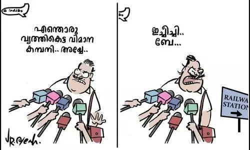 ഇൻഡിഗോ