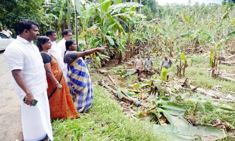 കനത്ത മഴയും വെള്ളപ്പൊക്കവും; ലക്ഷങ്ങളുടെ കൃഷിനാശം കനത്ത മഴയും വെള്ളപ്പൊക്കവും; ലക്ഷങ്ങളുടെ കൃഷിനാശം