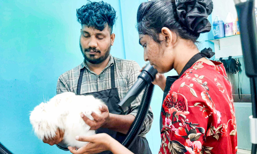 ഗ്ലാമറാക്കാം, ജില്ലയിൽ ആദ്യമായി വളർത്തുമൃഗങ്ങൾക്ക് ബ്യൂട്ടിപാർലർ ഗ്ലാമറാക്കാം, ജില്ലയിൽ ആദ്യമായി വളർത്തുമൃഗങ്ങൾക്ക് ബ്യൂട്ടിപാർലർ