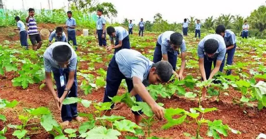 വിള ഇൻഷുറൻസ്​ അവസാന തീയതി ഈമാസം 31