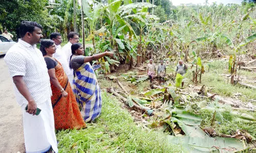 കനത്ത മഴയും വെള്ളപ്പൊക്കവും; ലക്ഷങ്ങളുടെ കൃഷിനാശം