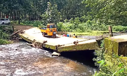 ഏതുസമയവും മറിയാം ചേനഗിരി പാലം; പുനനിർമിക്കാൻ നടപടിയില്ല