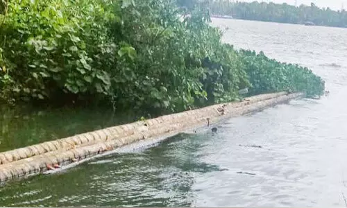 ഷട്ടറുകൾ തുറക്കാൻ വൈകി, വേമ്പനാട്ടുകായലിൽ മത്സ്യലഭ്യത കുറഞ്ഞു