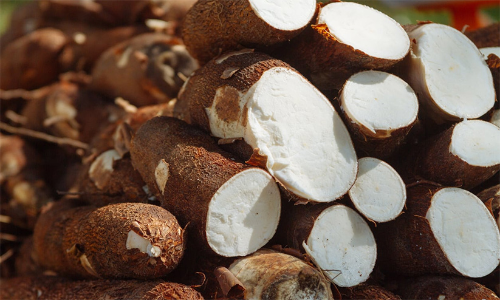 മരച്ചീനി വില 50 രൂപയി​ലെത്തി