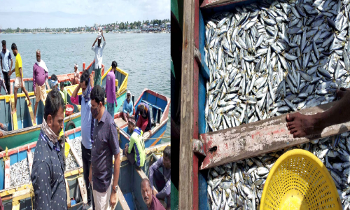 ചെറുമീനുകളെ പിടിച്ചാൽ പിടിവീഴും ചെറുമീനുകളെ പിടിച്ചാൽ പിടിവീഴും