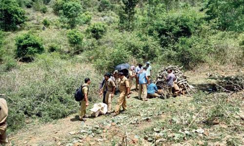 സ്വകാര്യ കൃഷിയിടത്തിൽ കാട്ടാനയുടെ അസ്ഥികൂടം സ്വകാര്യ കൃഷിയിടത്തിൽ കാട്ടാനയുടെ അസ്ഥികൂടം