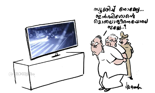 ഇതവൻ തന്നെ!