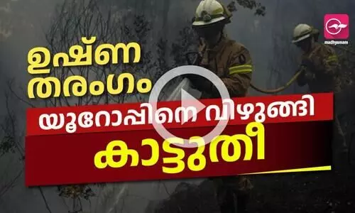 യൂറോപ്പിനെ വിഴുങ്ങി കാട്ടുതീ