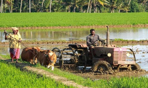 പി.എം കിസാൻ ഗുണഭോക്താകൾ 31 നകം വിവരങ്ങൾ ഓൺലൈൻ പോർട്ടലിൽ നൽകണം പി.എം കിസാൻ ഗുണഭോക്താകൾ 31 നകം വിവരങ്ങൾ ഓൺലൈൻ പോർട്ടലിൽ നൽകണം