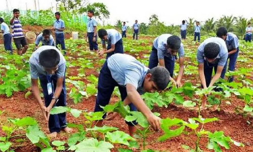 വിള ഇൻഷുറൻസ്​ അവസാന തീയതി ഈമാസം 31
