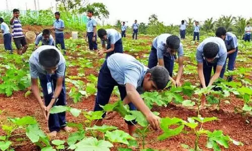 വിള ഇൻഷുറൻസ്​ അവസാന തീയതി ഈമാസം 31