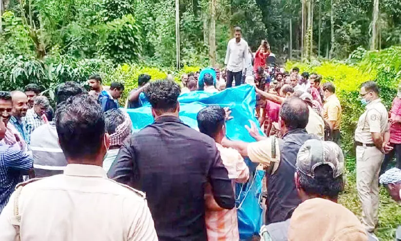 വാകേരിയിൽ കടുവയെ പിടികൂടുന്നത് രണ്ടാം തവണ വാകേരിയിൽ കടുവയെ പിടികൂടുന്നത് രണ്ടാം തവണ